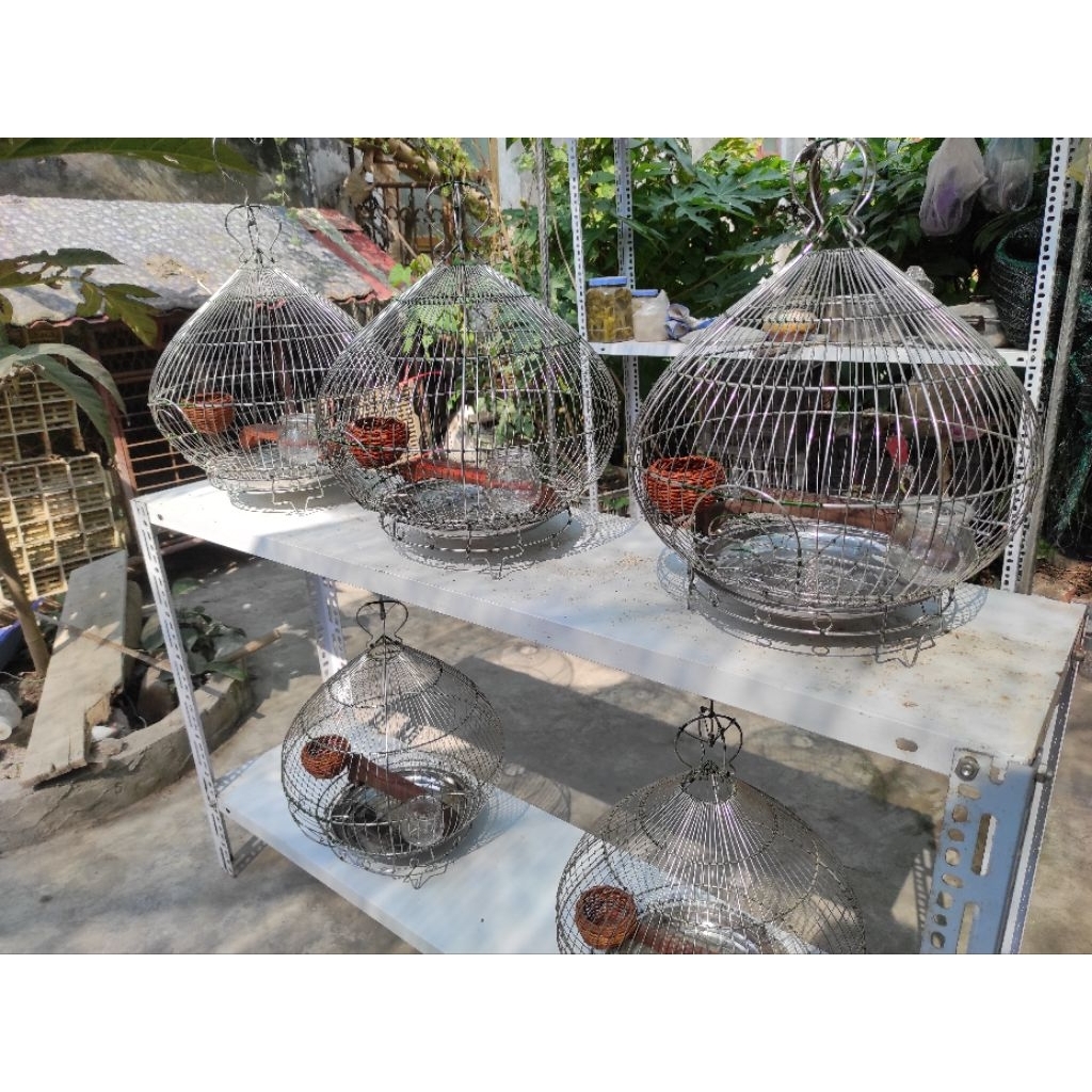 Lồng chim cu gáy inox 304