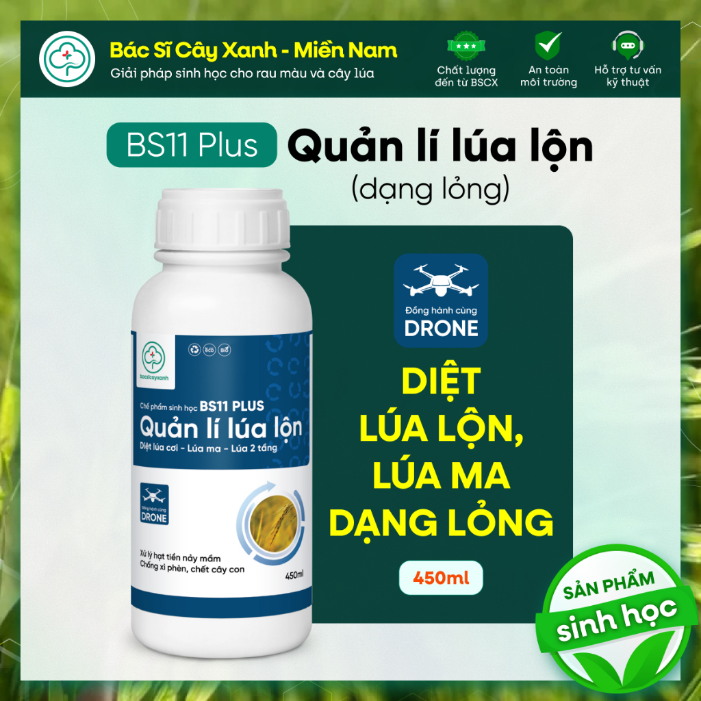 BS11 Plus Quản Lí Lúa Lộn Dạng Lỏng - Diệt Lúa Cỏ Lúa Ma Không Ảnh Hưởng Lúa Sạ - Bác Sĩ Cây Xanh