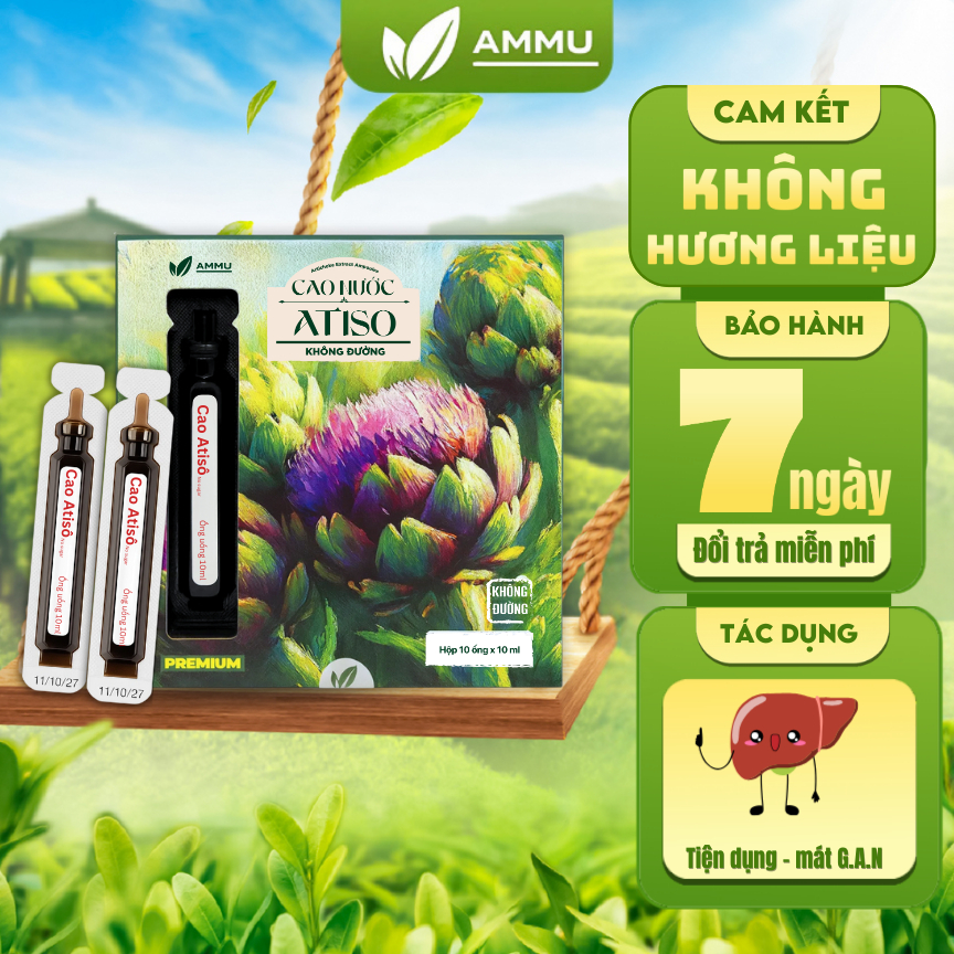 Cao Ống Atiso Không Đường Ammu, Nước Uống Atiso Nguyên Chất Giúp Mát Gan, Đẹp Da, Detox Hộp 10Ống x 
