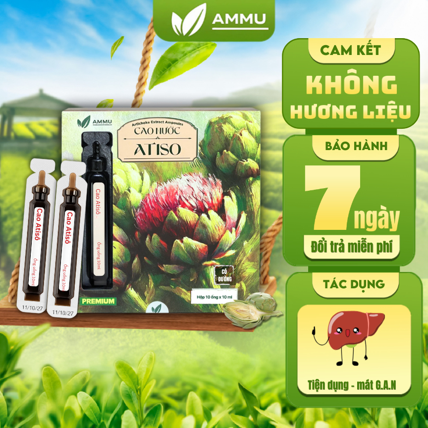 Cao Ống Atiso Ít Đường Ammu Nước Uống Atiso Mát Gan Thanh Nhiệt Giải Rượu Đẹp Da Hộp 10 ống x 10ml
