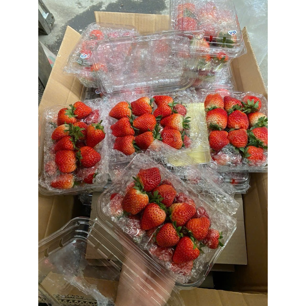 Dâu nay e vẫn dư các chị nha - dâu bi to và VIP ngot lắm a