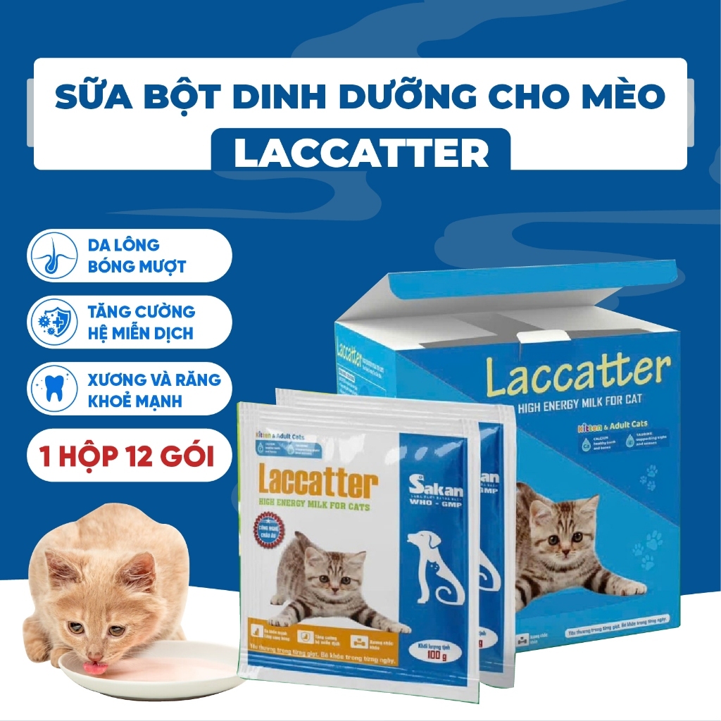 Sữa Bột Chuẩn WHO‑GMP Cho Mèo PET8 LACCATTER