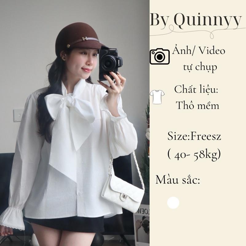 Áo Blouse Nơ Cổ Lớn Tay Dài Bo Nhẹ Phong Cách Thanh Lịch | By Quinny | Liora Top