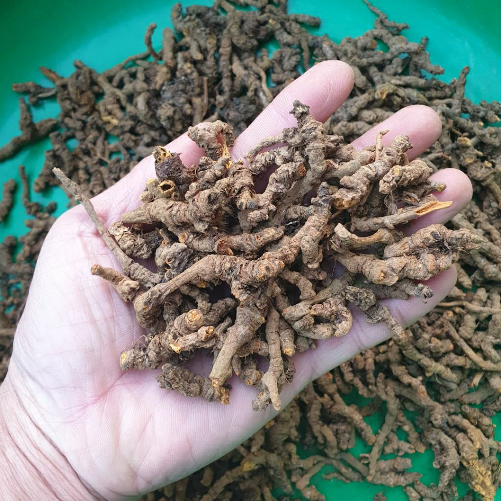 hoàng liên 1kg