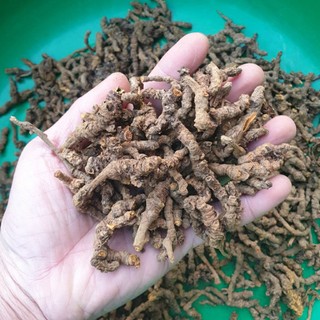 hoàng liên 1kg