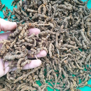 hoàng liên 1kg