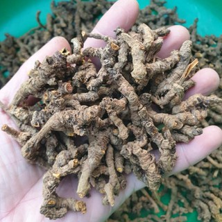 hoàng liên 1kg