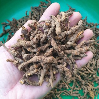 hoàng liên 1kg