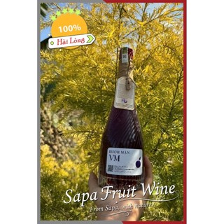 (CỰC PHẨM) Rượu Mận VM Sapa VIP, OCOP 3 sao, 500ml, 18 độ - sang trọng, phù hợp biếu tặng.
