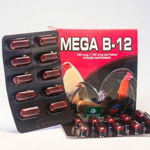 Mega B12 Cho Gà Chọi – Hỗ Trợ Thể Lực, Sung Mã, Phục Hồi Nhanh