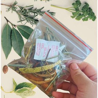 Thảo Mộc Xông Nhà
