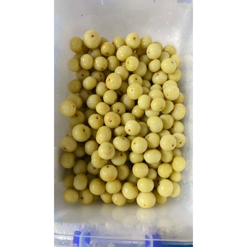 MÁC KHAM (ME RỪNG) NGÂM CHUA NGỌT – ĐẶC SẢN RỪNG NÚI CAO BẰNG