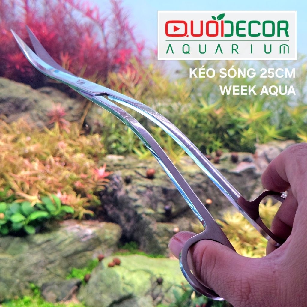 Kéo thủy sinh Week aqua lượn sóng inox SUS 420 cao cấp