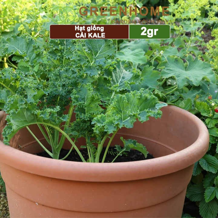 vn-11134208-7r98o-lkknks5fvrtc5c