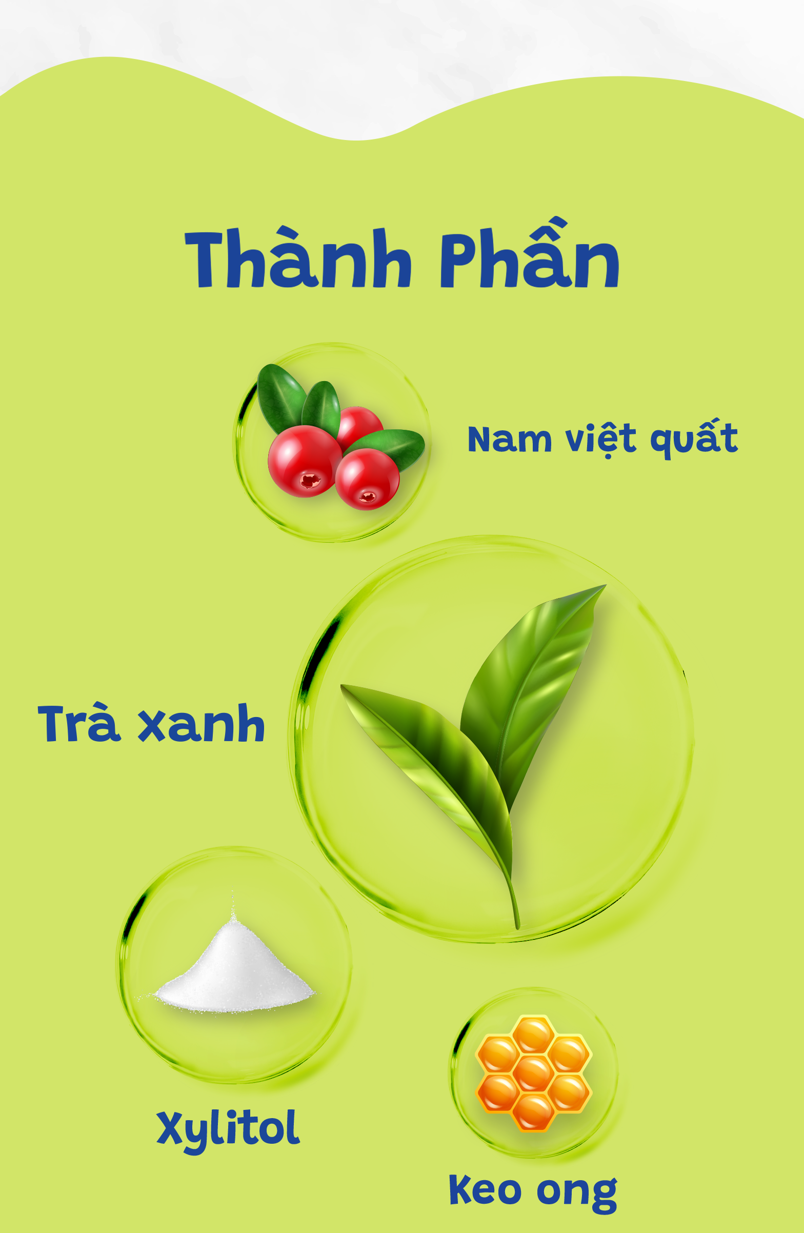 vn 11134208 7r98o luyu3g951vrm72