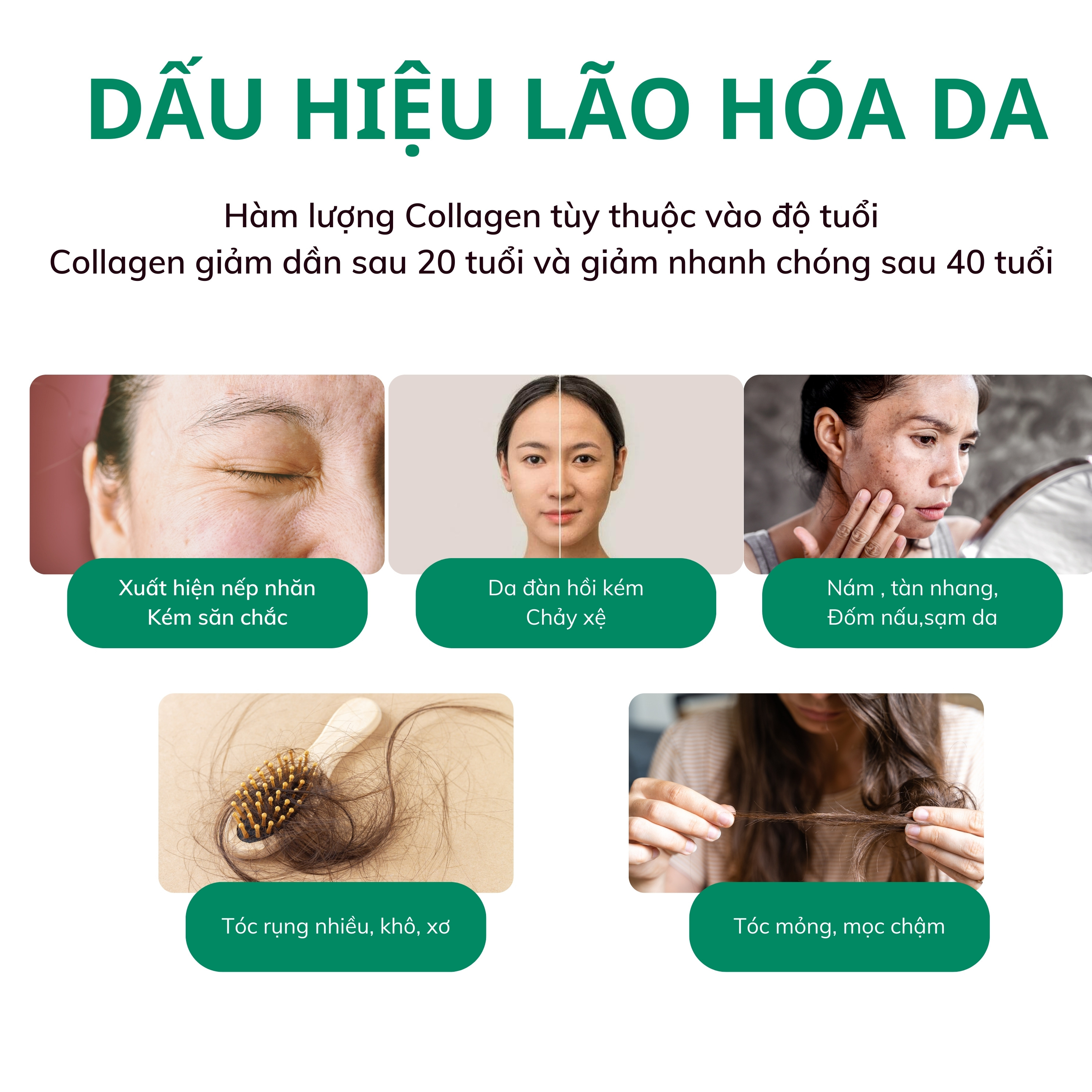 vn-11134208-7r98o-lvb8q5dazxpg18