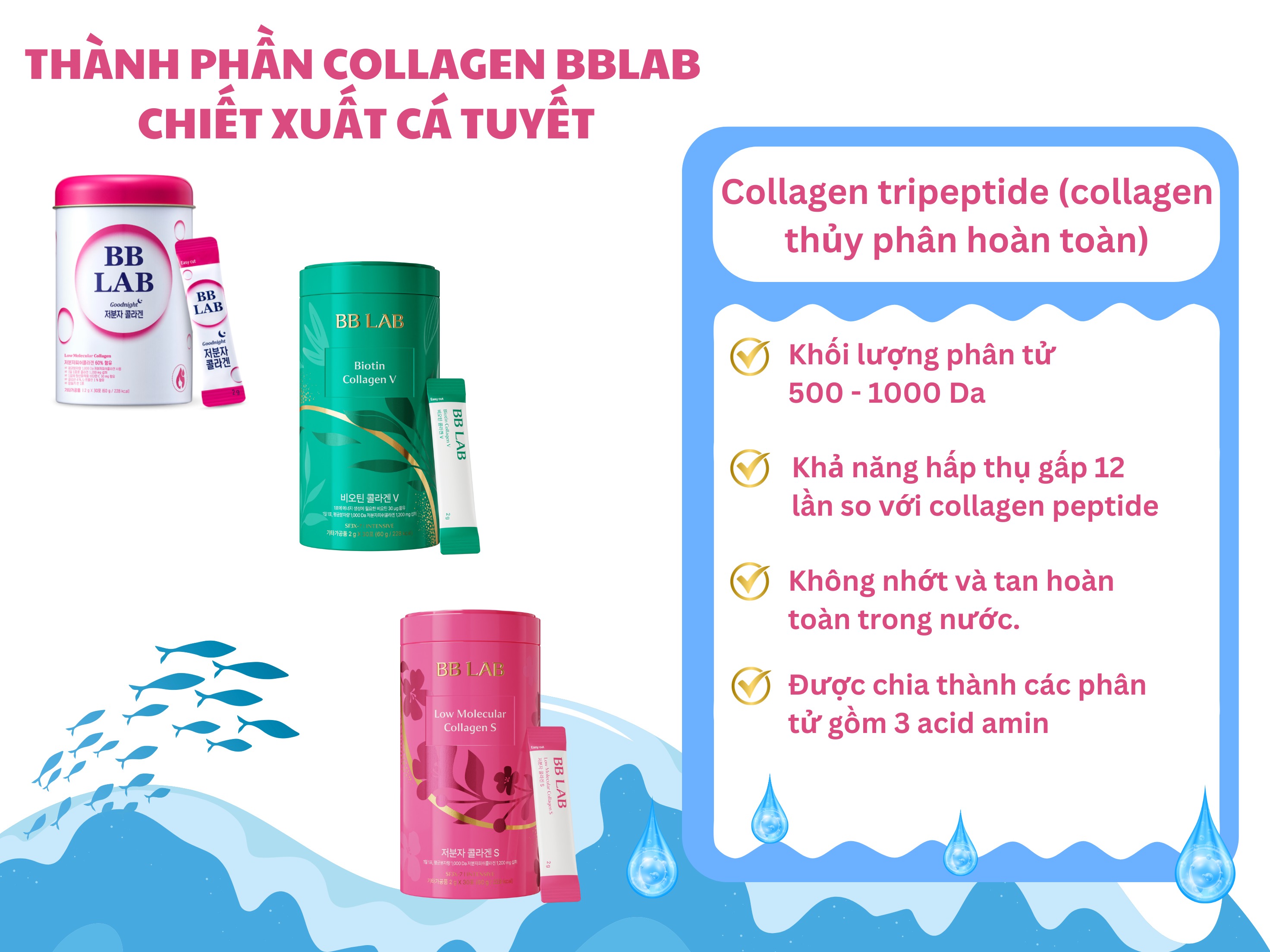 vn-11134208-7r98o-lw44gg3z9xp700