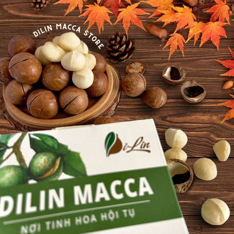 Hạt macca nứt vỏ DILIN MACADAMIA, mắc ca Tây Nguyên [Hộp 250g]