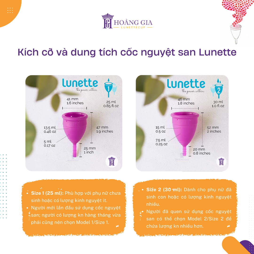 vn-11134208-7ra0g-m8olczen4t4yea