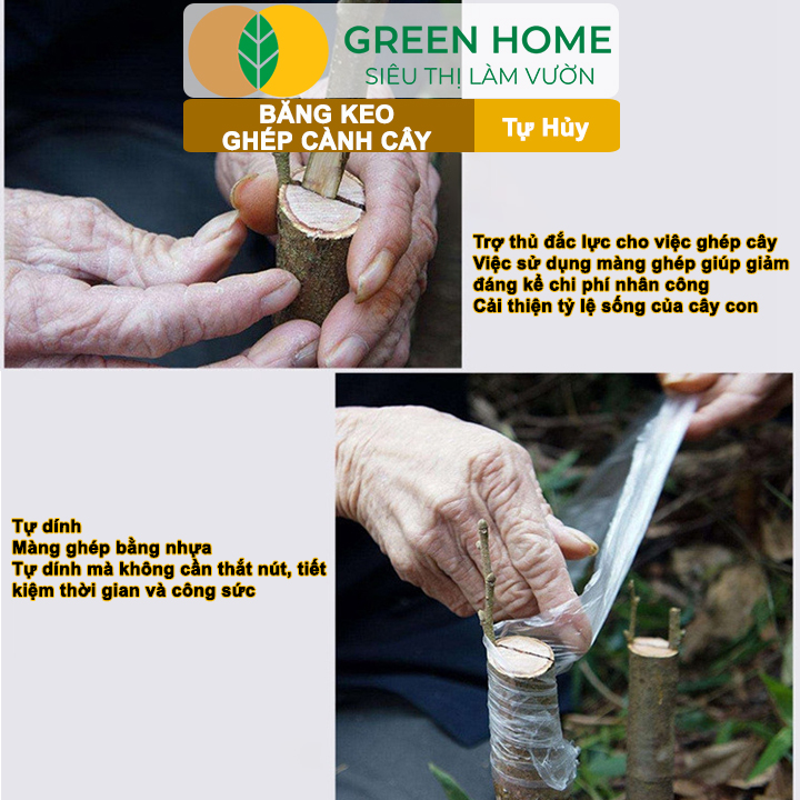 vn-11134208-7ra0g-m8u4oduv0olj54