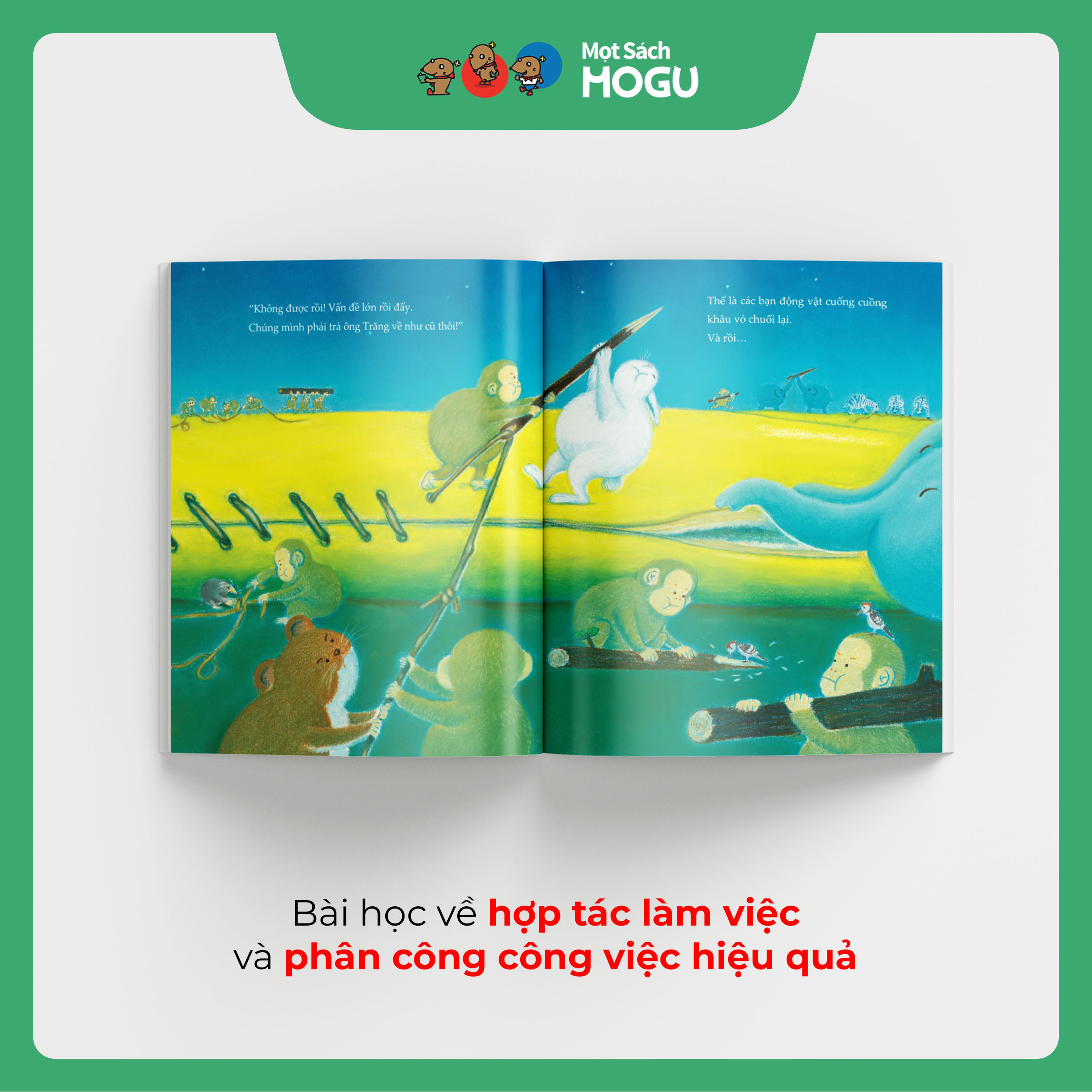 vn-11134208-7ra0g-m9o049lgz29wba