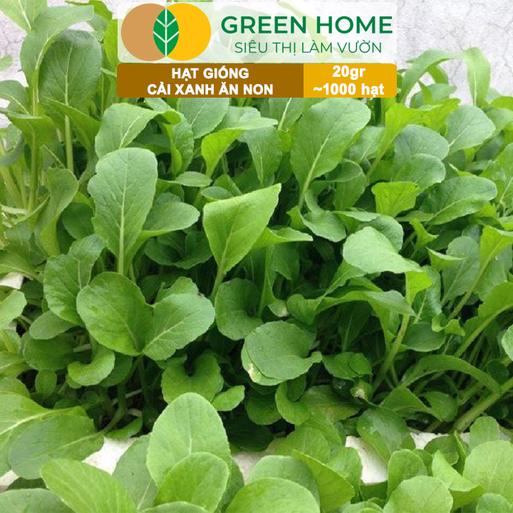 vn-11134208-7ra0g-mab0dsoggajv76