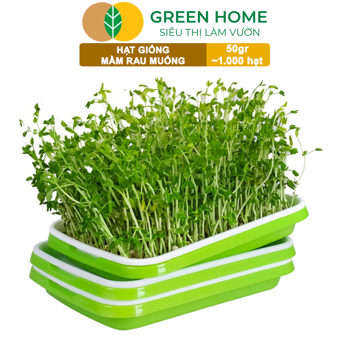 vn-11134208-7ra0g-mab16db56d7vc5