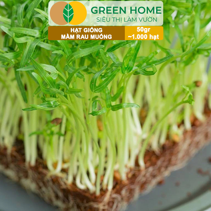 vn-11134208-7ra0g-mab16g1x5tgra4