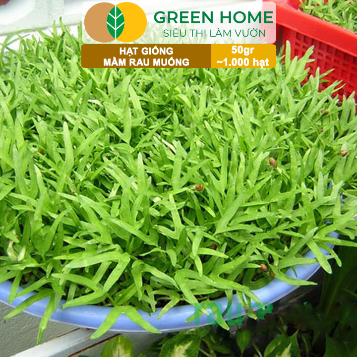 vn-11134208-7ra0g-mab16jcecg6q82