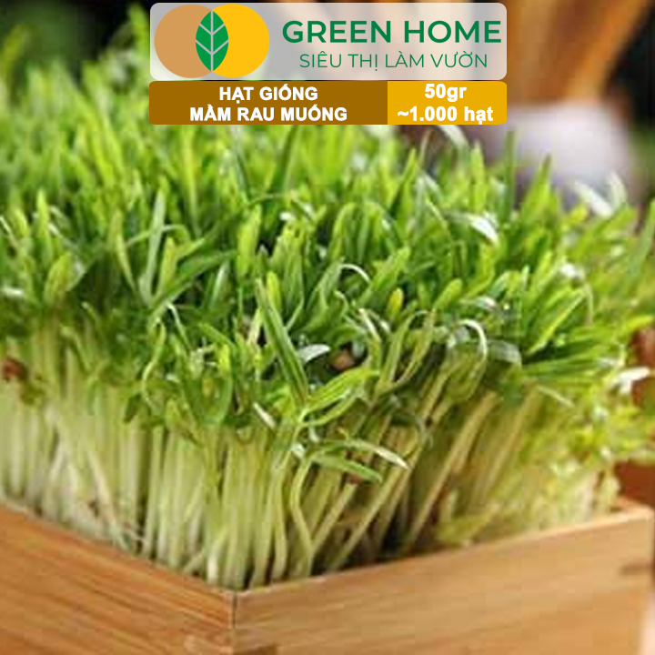 vn-11134208-7ra0g-mab16n1axyia5b