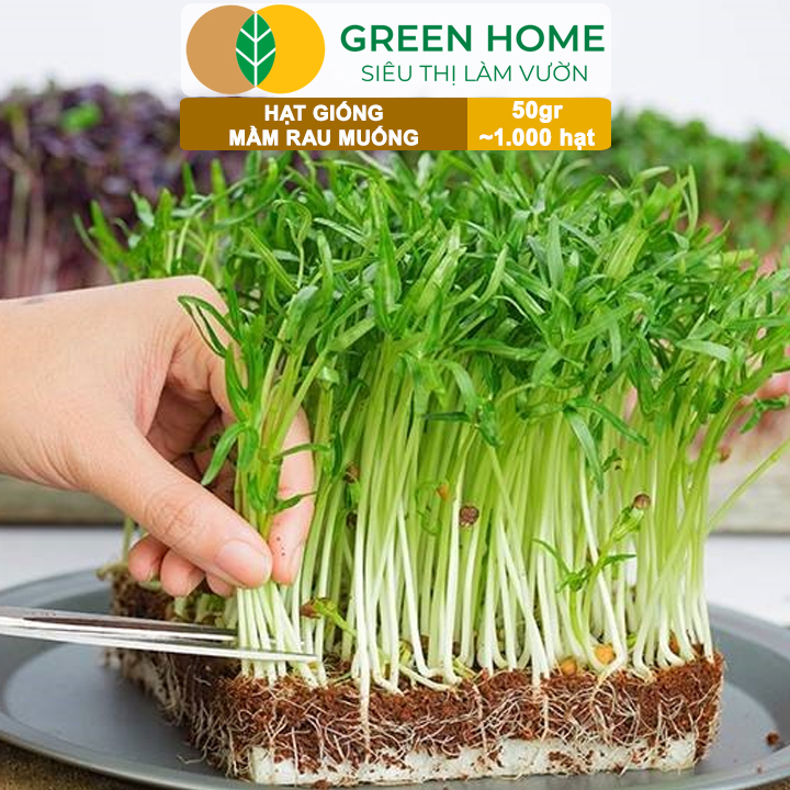 vn-11134208-7ra0g-mab16qv7dkaa20