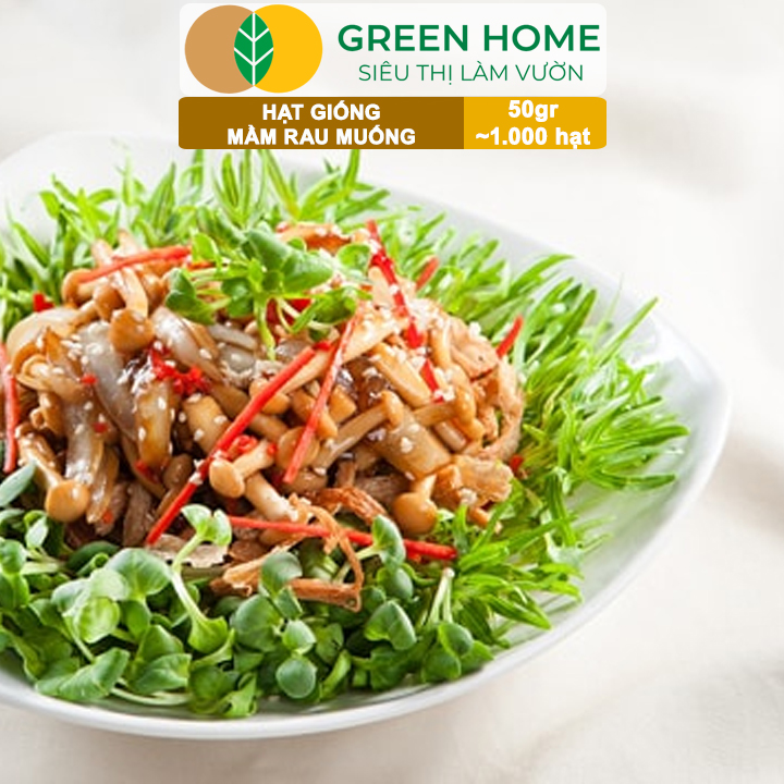 vn-11134208-7ra0g-mab16x8e263v9e