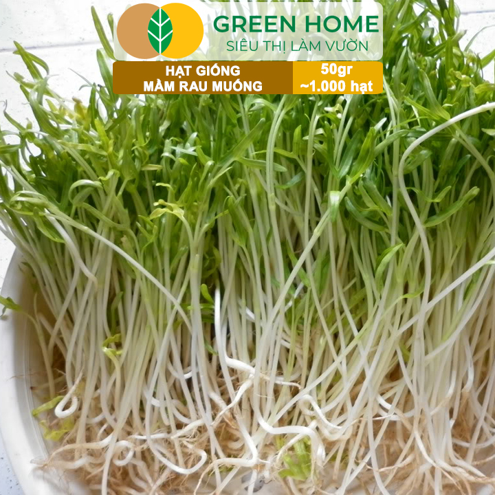 vn-11134208-7ra0g-mab170gxa8a3db