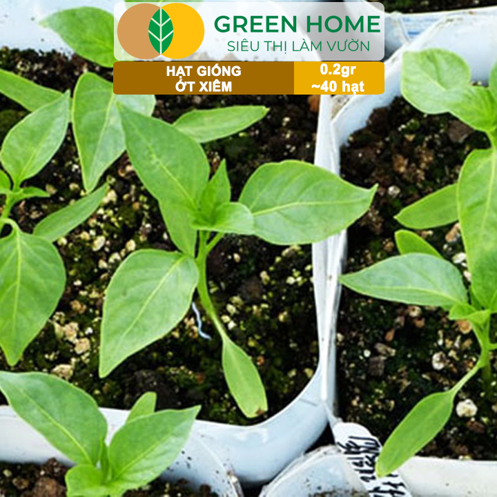 vn-11134208-7ra0g-madvs5kaj3bg5b