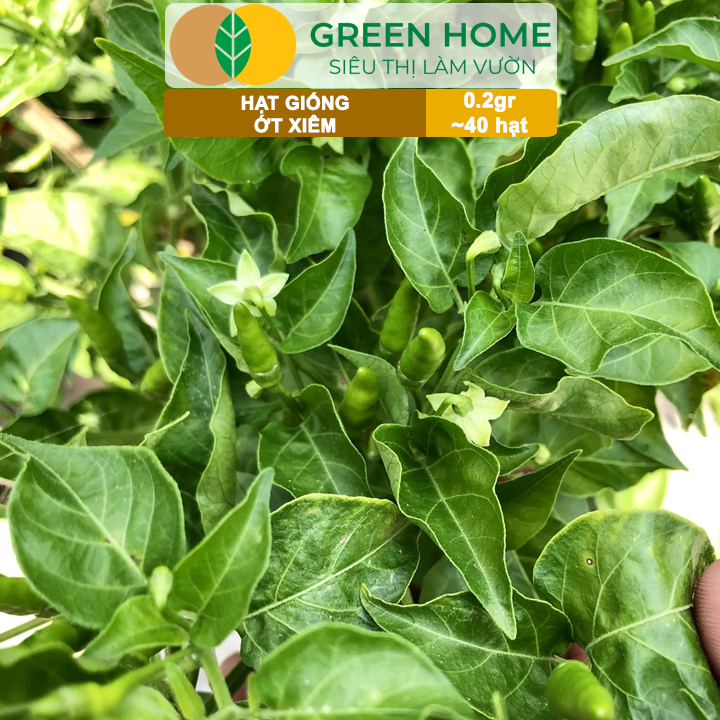 vn-11134208-7ra0g-madvs8n0f4p83c