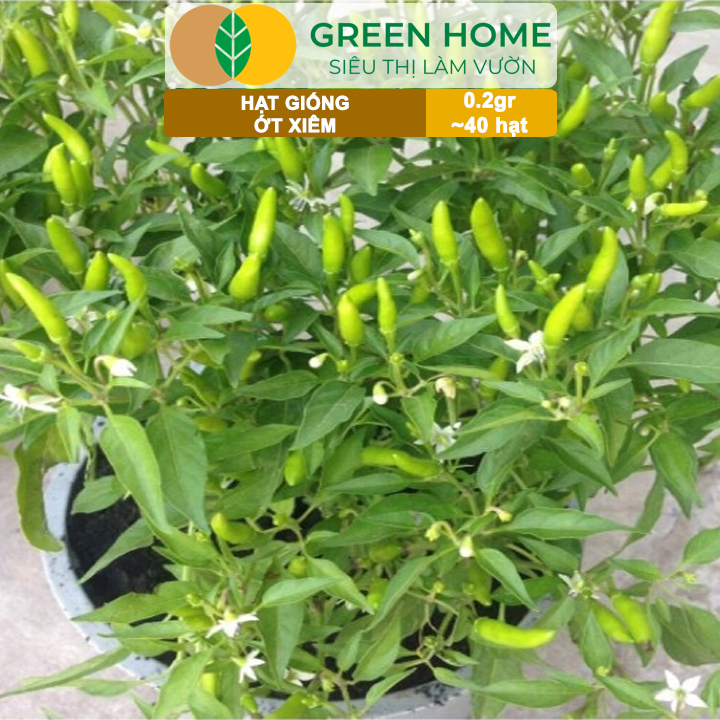 vn-11134208-7ra0g-madvsbrdgn0sf3