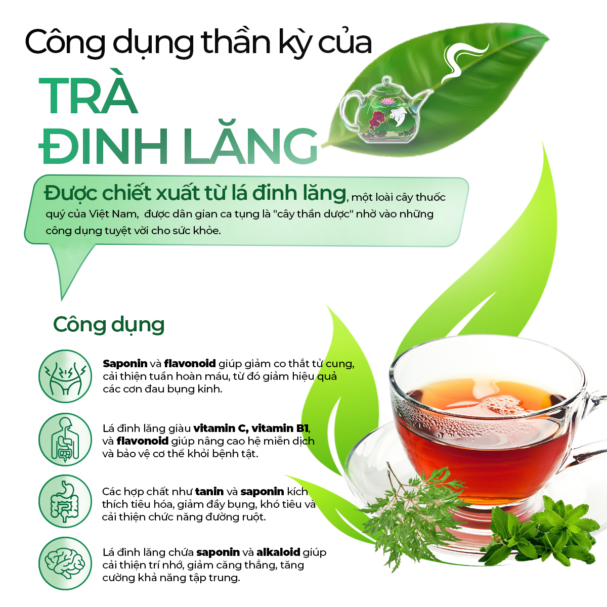 vn-11134208-7ra0g-majkhmk8zx7ccf