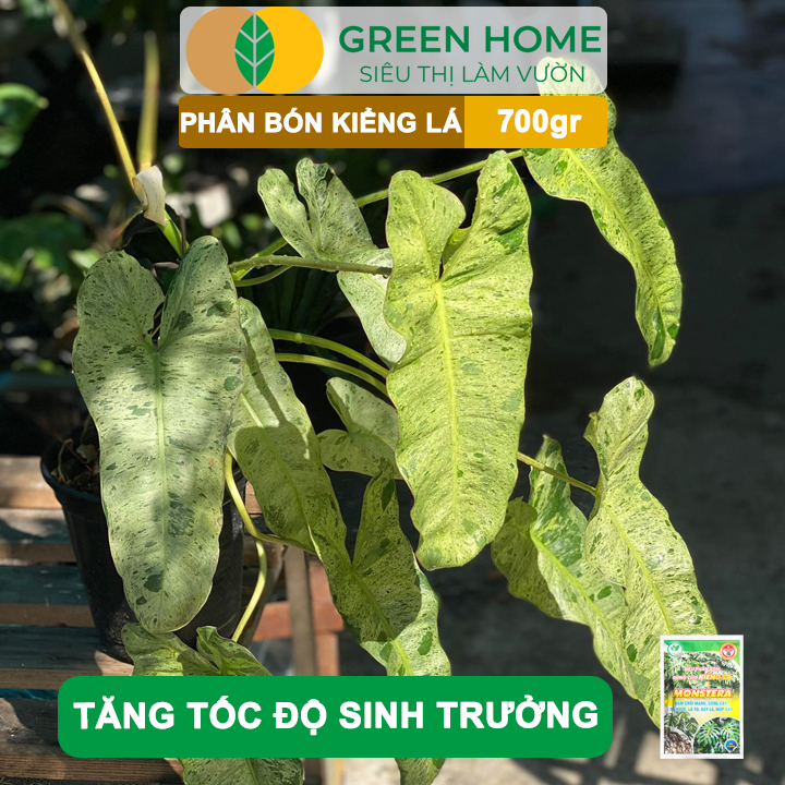 vn-11134208-7ras8-m4zkxowxxrqw3c