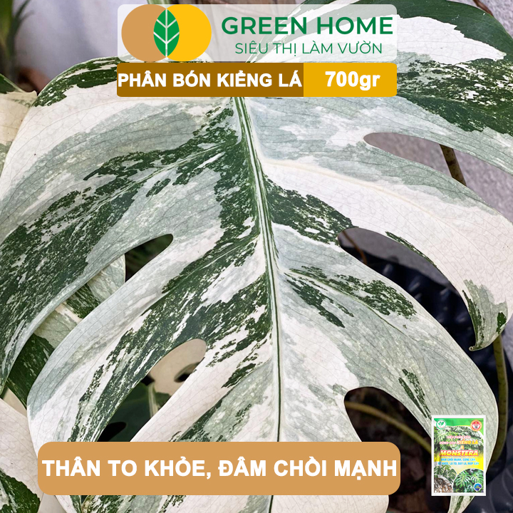 vn-11134208-7ras8-m4zkxowxz6bca4