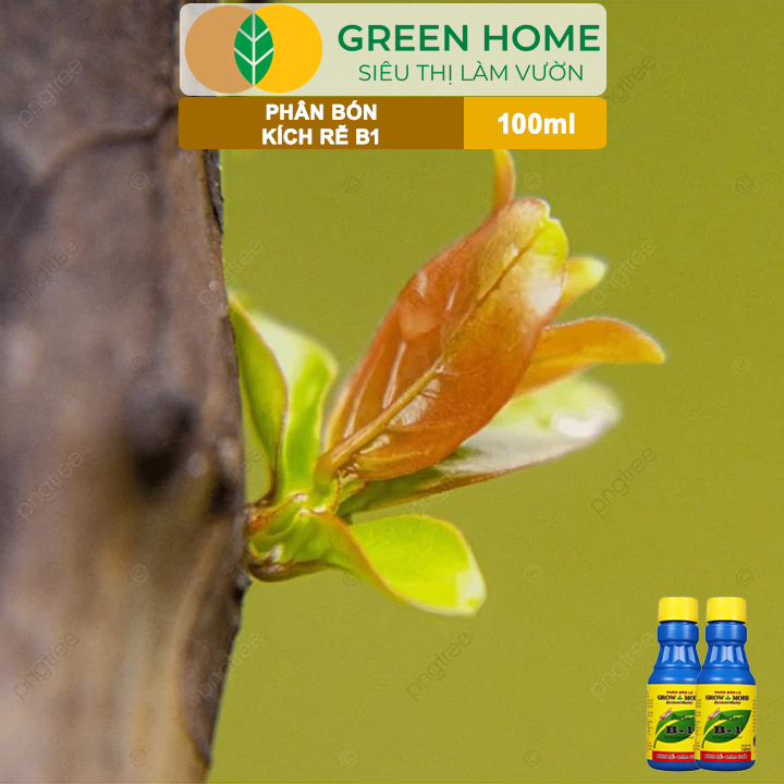 vn-11134208-7ras8-mam7bc7coji993