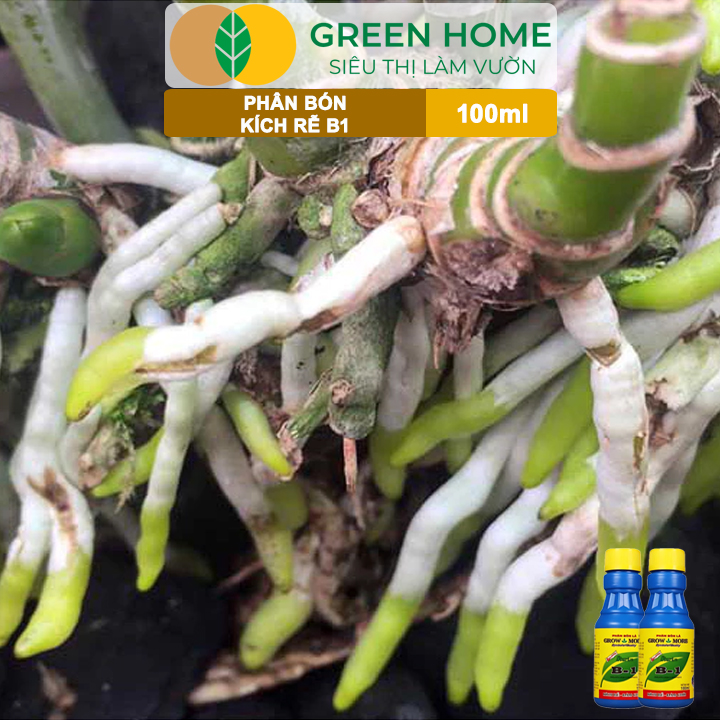 vn-11134208-7ras8-mam7bfgpwsjwe9