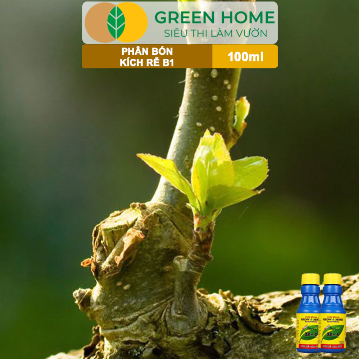 vn-11134208-7ras8-mam7bih7i11d5a