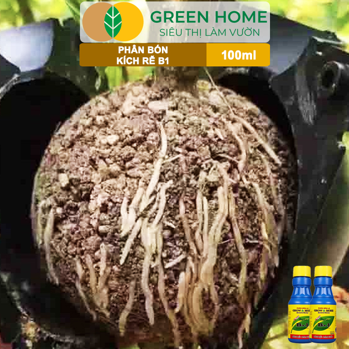 vn-11134208-7ras8-mam7blhf3oapb9