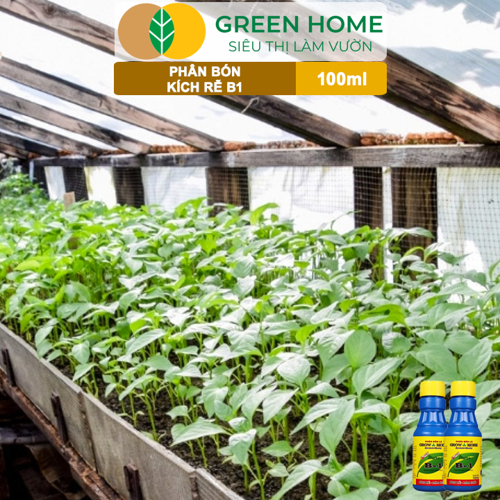 vn-11134208-7ras8-mam7btrezlc15a