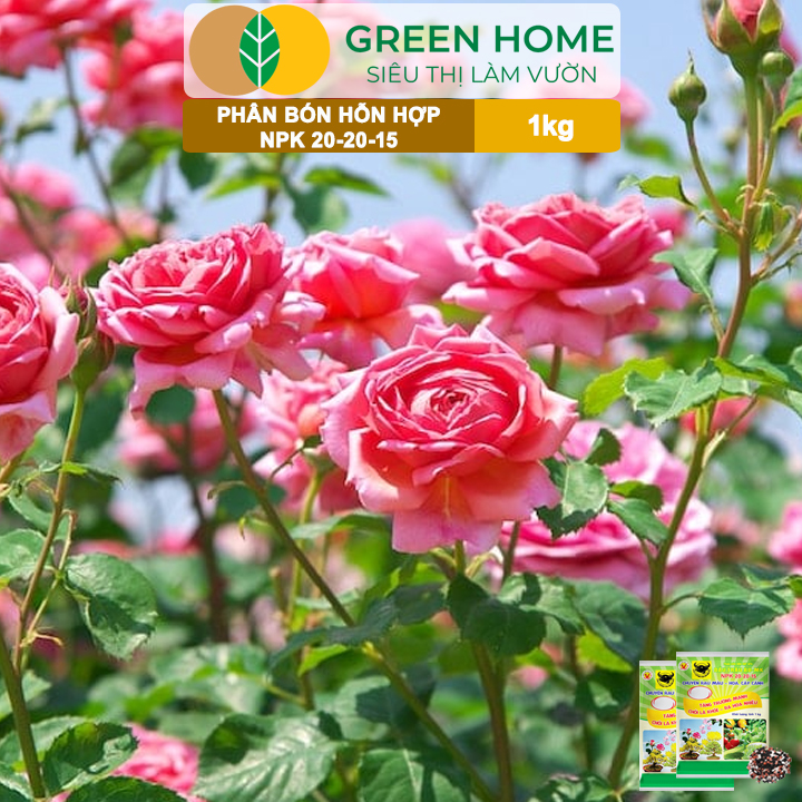 vn-11134208-7ras8-mat9ukx61xhzb8