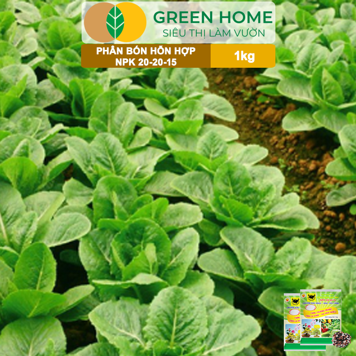 vn-11134208-7ras8-mat9uuo5sau0e0