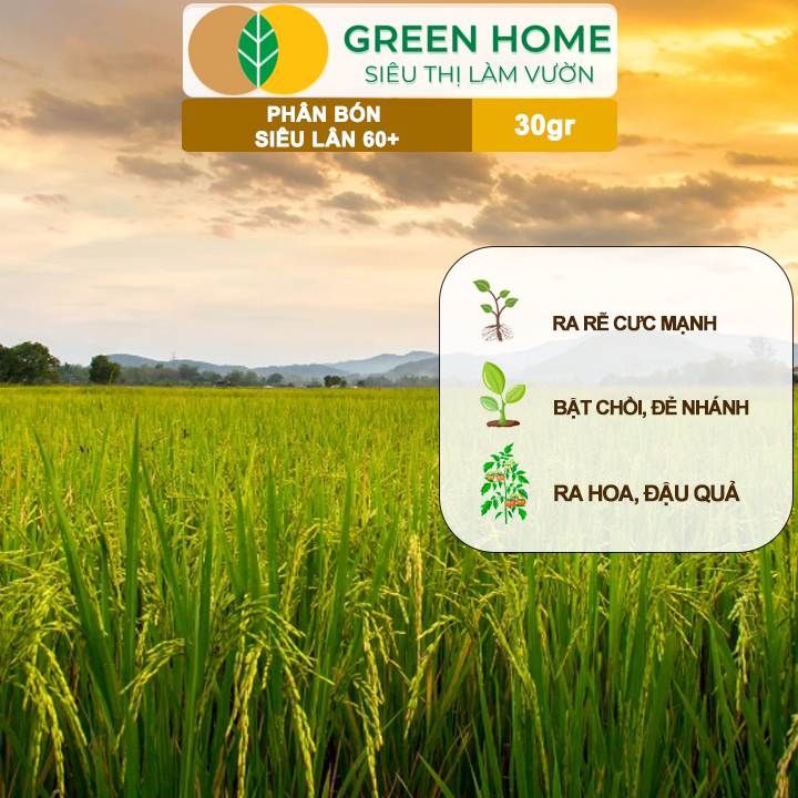 vn-11134208-7ras8-mb1yr2yzmztj2f