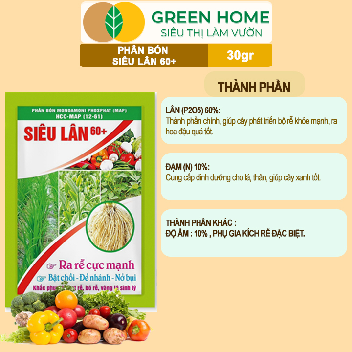 vn-11134208-7ras8-mb1yr9je2ggn14