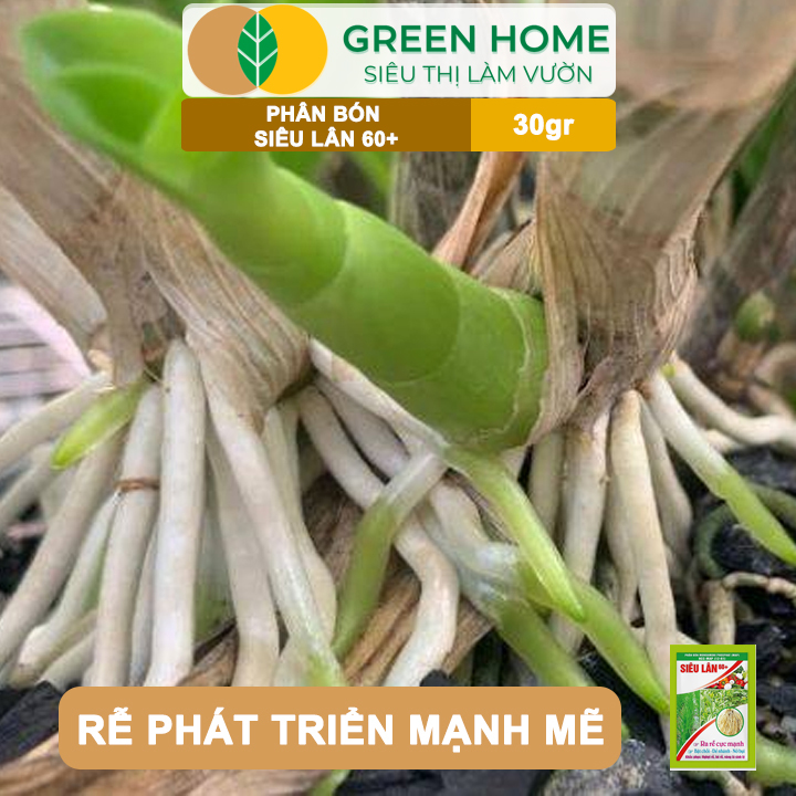 vn-11134208-7ras8-mb1yrd2quok733