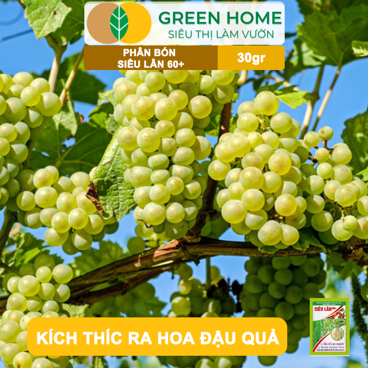 vn-11134208-7ras8-mb1yrfumtx3sf0